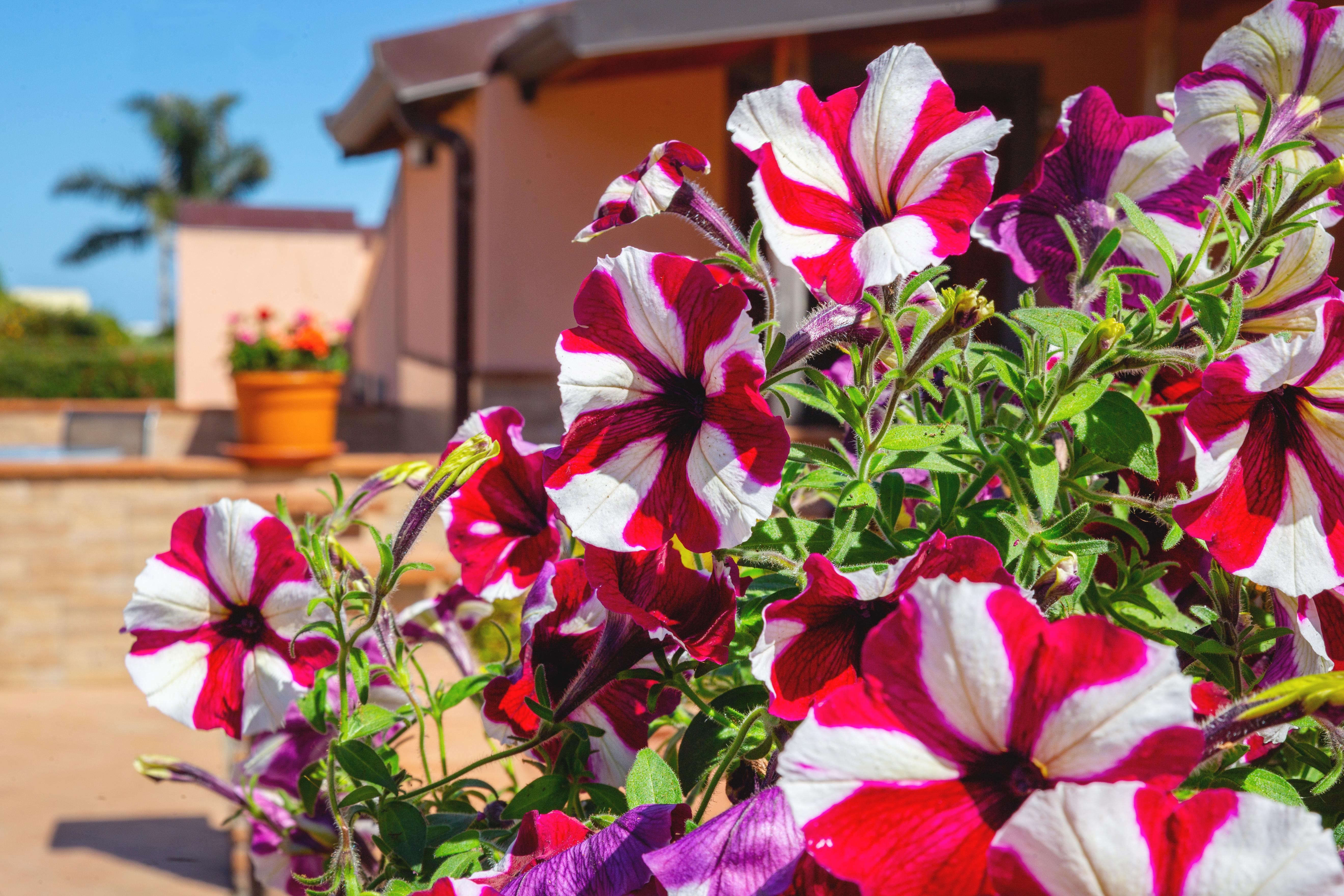 La Terra Dei Sogni Country Hotel Fiumefreddo di Sicilia Exteriör bild