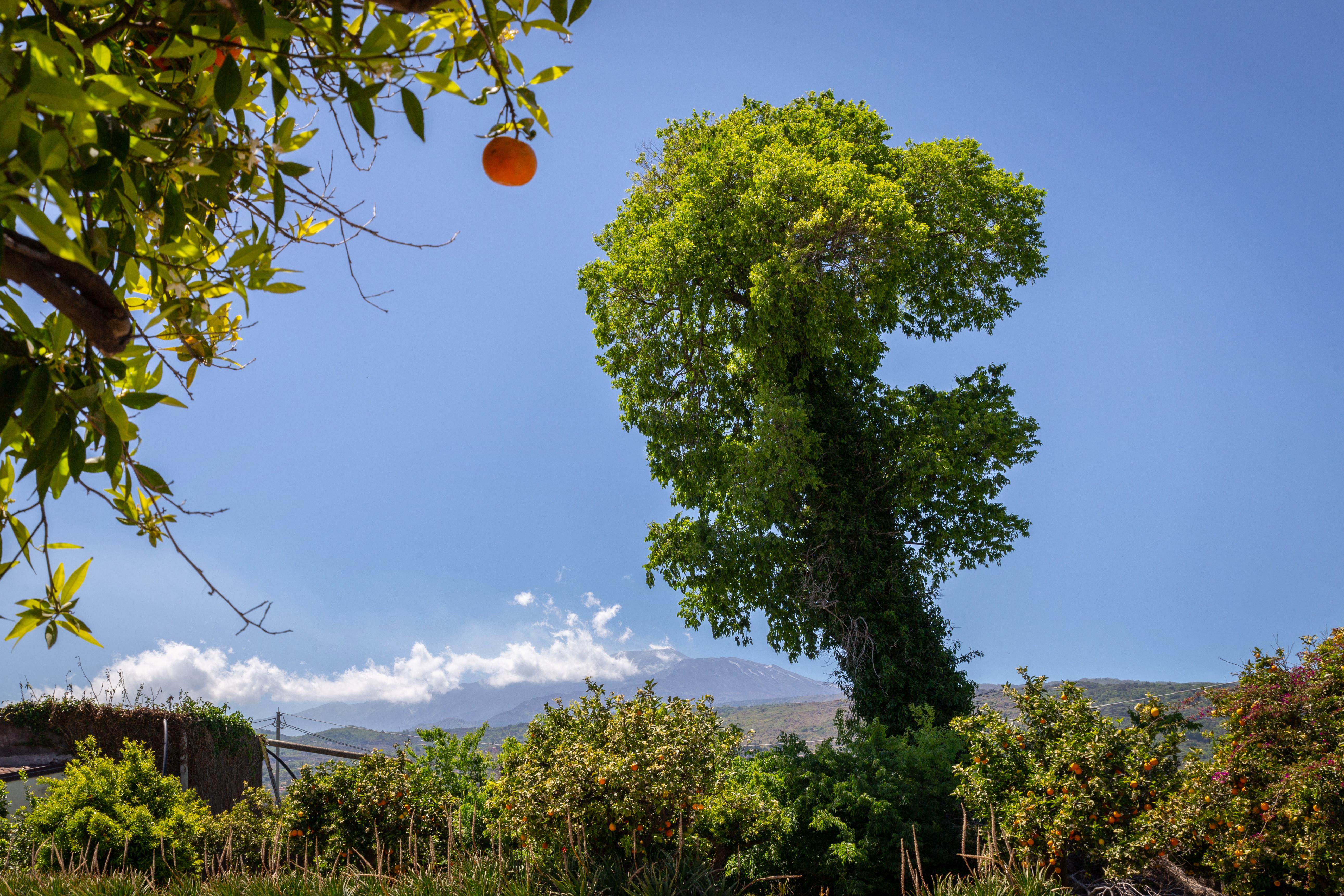 La Terra Dei Sogni Country Hotel Fiumefreddo di Sicilia Exteriör bild